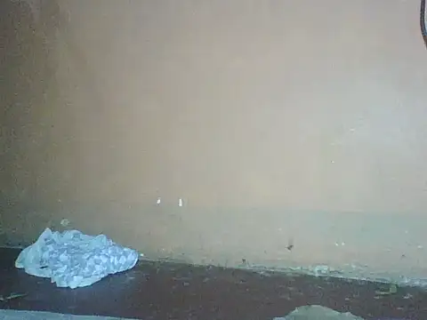 Snapshot of Naivegirrl chatting on 12/02/25, 10:33 Naivegirrl online show from 12/02/25, 10:33