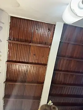 emiss  online show from 03/31/26, 08:11