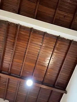 emiss  online show from 01/31/26, 08:18