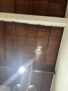 emiss  online show from 12/16/25, 04:22