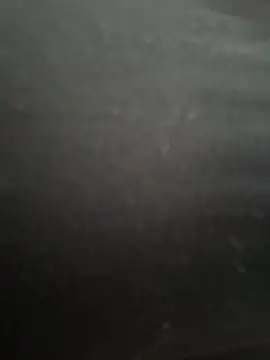 PaulinaDuarte online show from 12/19/25, 01:46