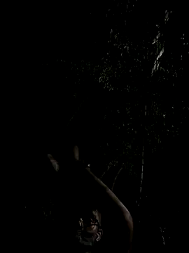 Snapshot of mumuowl chatting on 09/20/25, 05:29 mumuowl online show from 09/20/25, 05:29