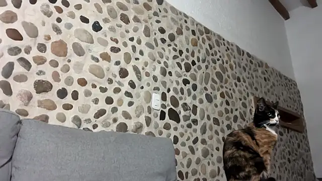 David Brown18 online show from 10/01/25, 03:44