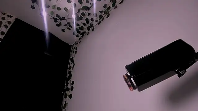 Snapshot of Young_laroi chatting on 02/19/25, 08:12 Young laroi online show from 02/19/25, 08:12