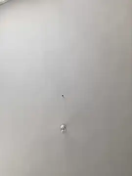 MuscleBoyy777 online show from 03/20/25, 11:05