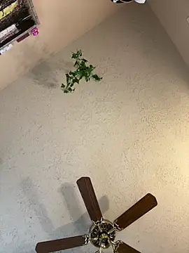 magicalc00ch online show from 03/15/25, 09:16