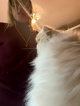 casalinga88 online show from 11/03/25, 12:20