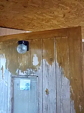 daiwantu online show from 12/18/25, 03:49