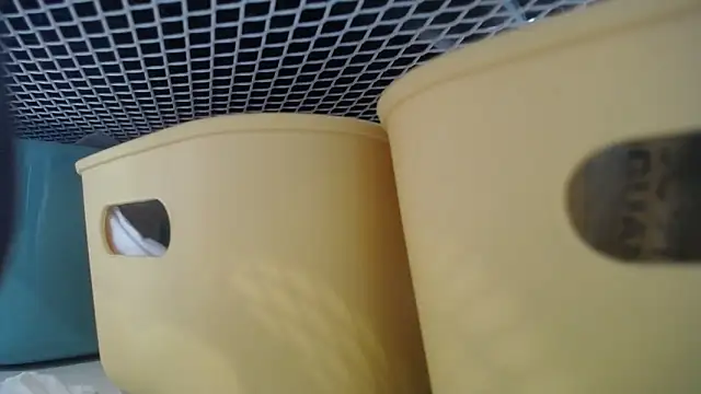 lovense test04 online show from 02/27/26, 07:30