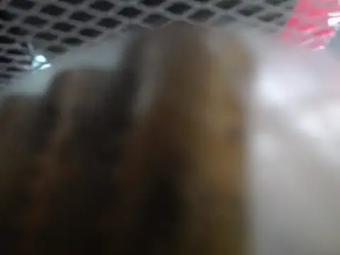 lovense test04 online show from 01/07/26, 02:05