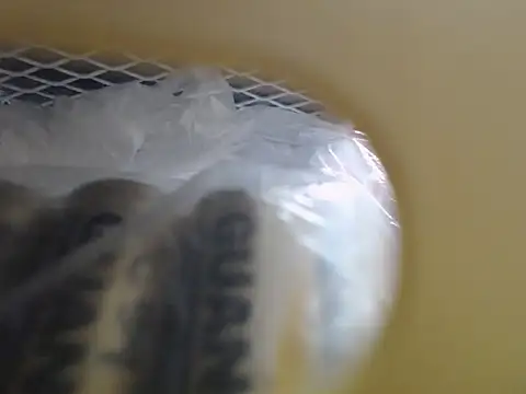 lovense test04 online show from 10/16/25, 03:48