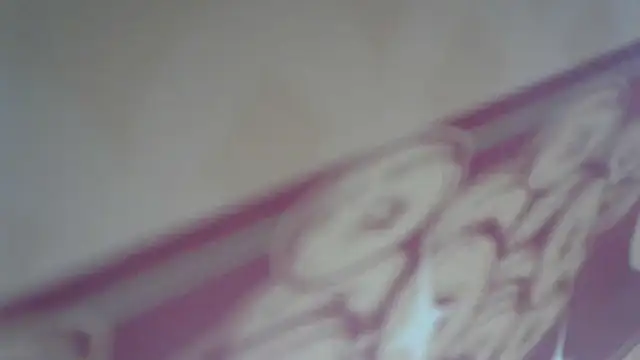 lovense test04 online show from 04/08/26, 03:30