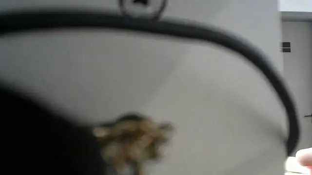 lovense test04 online show from 09/19/25, 09:57