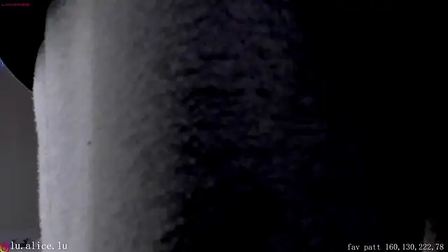 alicelu  online show from 02/08/25, 11:55