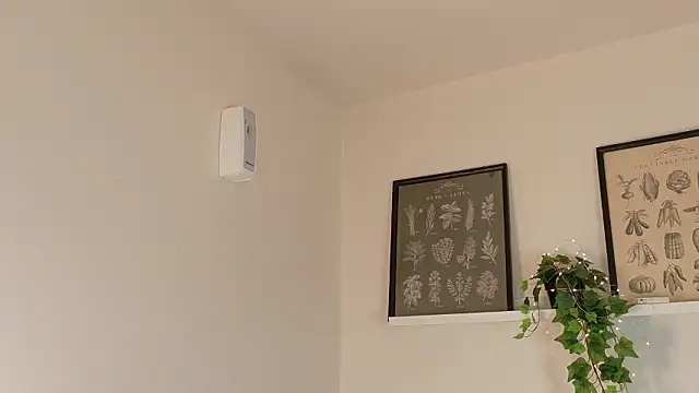 memphiswilliam online show from 02/17/26, 04:21