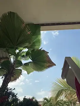 Snapshot of Ema_azel chatting on 03/09/25, 02:21 Ema azel online show from 03/09/25, 02:21