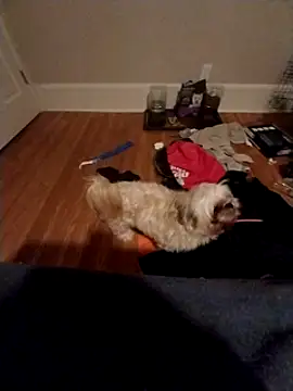 420getsmehorny online show from 12/16/24, 02:04