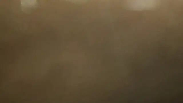 Alphapimmelchen online show from 02/21/25, 04:05