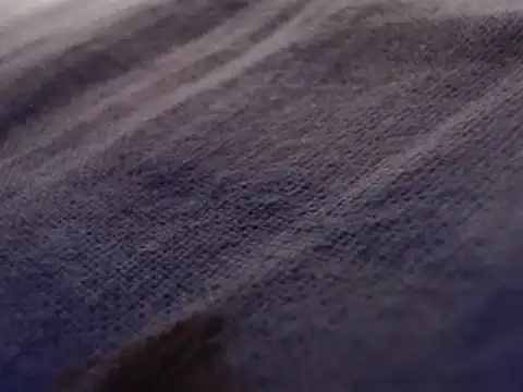 Snapshot of FleshlightFan chatting on 01/26/25, 12:47 FleshlightFan online show from 01/26/25, 12:47