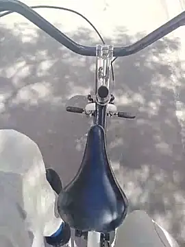 Danielitohot23cm online show from 11/12/25, 04:22