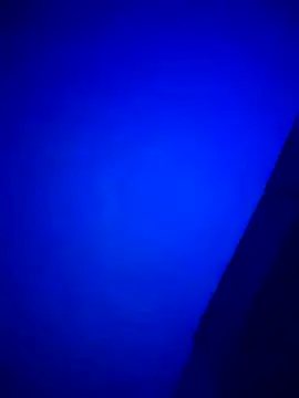 Buddy Cuck online show from 03/27/26, 10:49