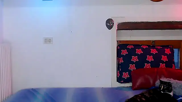 cek 186 online show from 12/22/25, 01:44