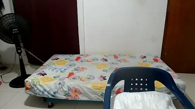 Snapshot of luz_stella chatting on 05/16/26, 04:11 luz stella online show from 05/16/26, 04:11