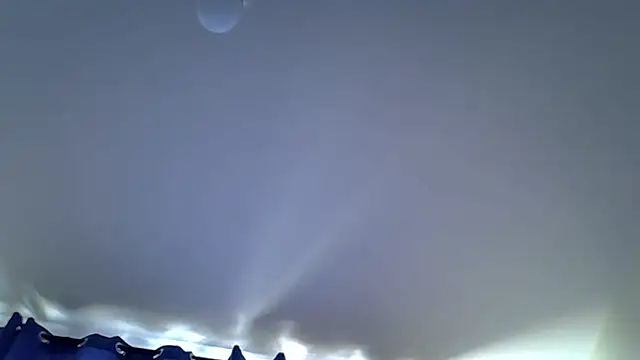 sweet darlli online show from 07/13/26, 11:09