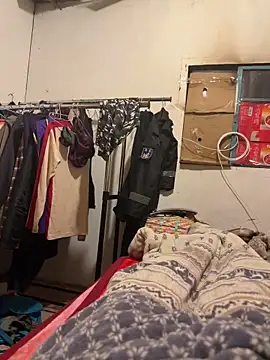 A6229 online show from 02/11/26, 01:33