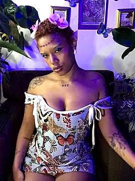 haiiley more online show from 11/01/25, 05:03