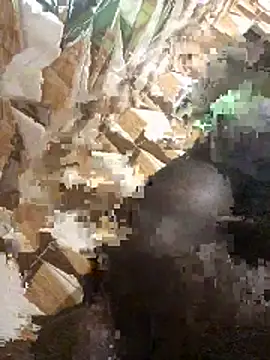 Snapshot of BigBrotherFreak chatting on 11/27/25, 03:45 BigBrotherFreak online show from 11/27/25, 03:45