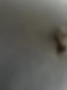 Snapshot of eveangelll chatting on 03/22/25, 08:08 eveangelll online show from 03/22/25, 08:08