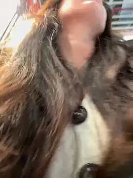 Snapshot of eveangelll chatting on 12/05/25, 09:52 eveangelll online show from 12/05/25, 09:52