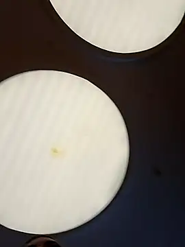 CanelitaPasion online show from 02/11/26, 08:09