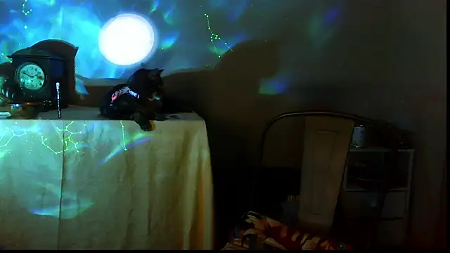 Snapshot of SexWorkerX chatting on 12/17/25, 10:04 SexWorkerX online show from 12/17/25, 10:04