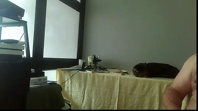 Snapshot of SexWorkerX chatting on 11/15/25, 04:22 SexWorkerX online show from 11/15/25, 04:22