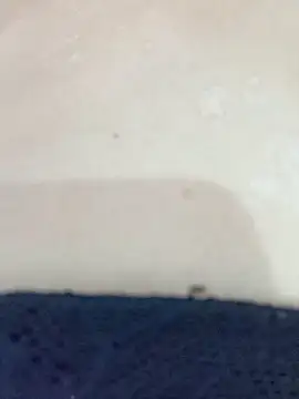 By Aninha online show from 11/12/25, 08:40