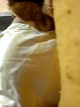 dGregoLCollT online show from 11/10/25, 01:54