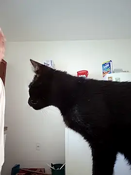 Escarlate4you  online show from 03/22/26, 09:44