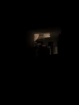 RIP Curl online show from 11/28/25, 07:19