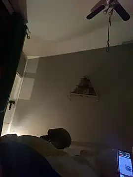 Snapshot of WreckedCrop chatting on 01/06/25, 01:31 WreckedCrop online show from 01/06/25, 01:31