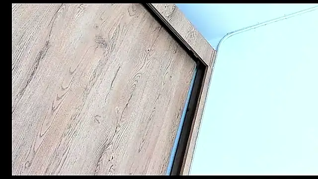 Stiven collins online show from 12/13/25, 08:04