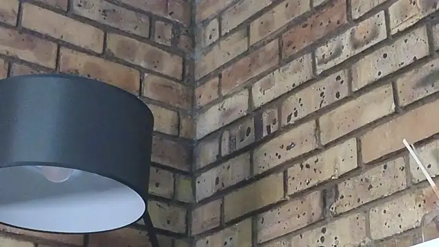 Astoria Moon online show from 01/14/26, 12:20