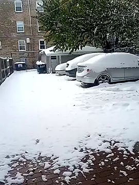 Snapshot of AmazonianMistress chatting on 11/10/25, 07:30 AmazonianMistress online show from 11/10/25, 07:30