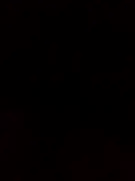 OverfullDamask online show from 12/20/24, 06:40