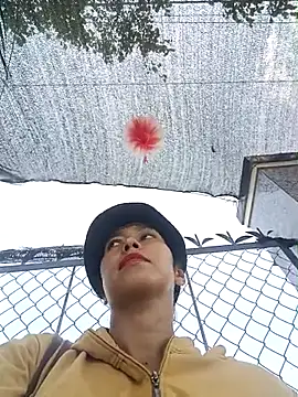 2HotAsain4u online show from 04/11/26, 03:03