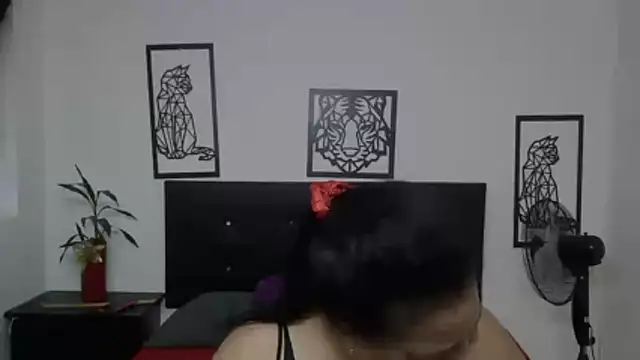 Shanttal0272 online show from 11/28/25, 02:50