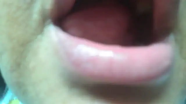 Shanttal0272 online show from 03/29/26, 04:58