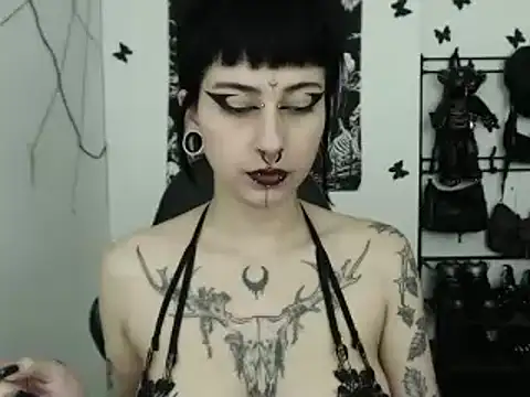 n0sferatus   online show from 11/29/25, 04:01