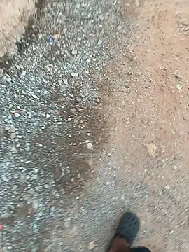 Black-mamba-madingo online show from 11/09/25, 05:39